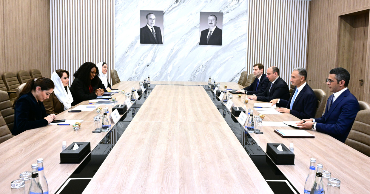 Nazir Rəşad Nəbiyev Rəqəmsal Əməkdaşlıq Təşkilatının baş katibi ilə görüş keçirib