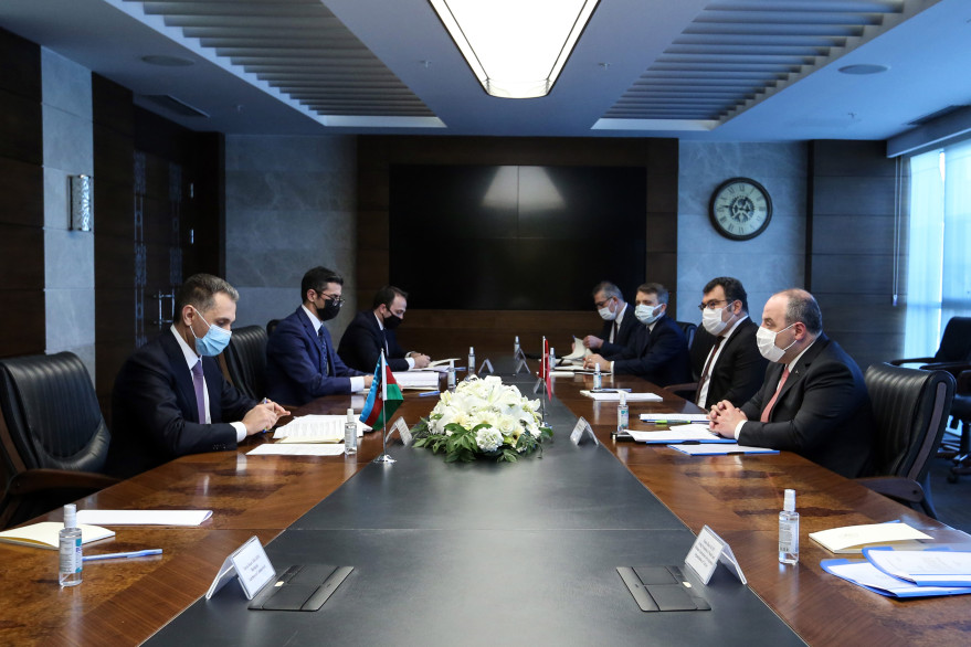 Minister Rashad Nabiyev visited Turkey