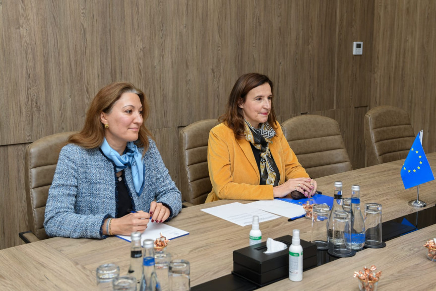 Meeting Held at the Ministry of Digital Development and Transport with the EU Delegation