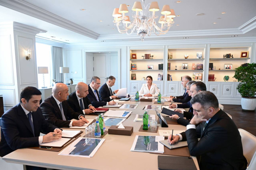 Birinci vitse-prezident Mehriban Əliyevanın sədrliyi ilə Rəqəmsal İnkişaf Şurasının ilk iclası keçirilib