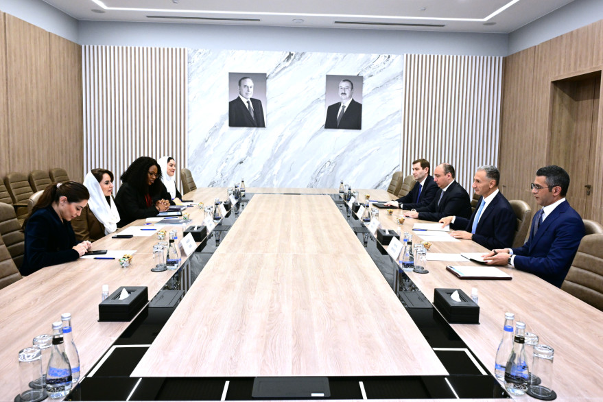 Nazir Rəşad Nəbiyev Rəqəmsal Əməkdaşlıq Təşkilatının baş katibi ilə görüş keçirib