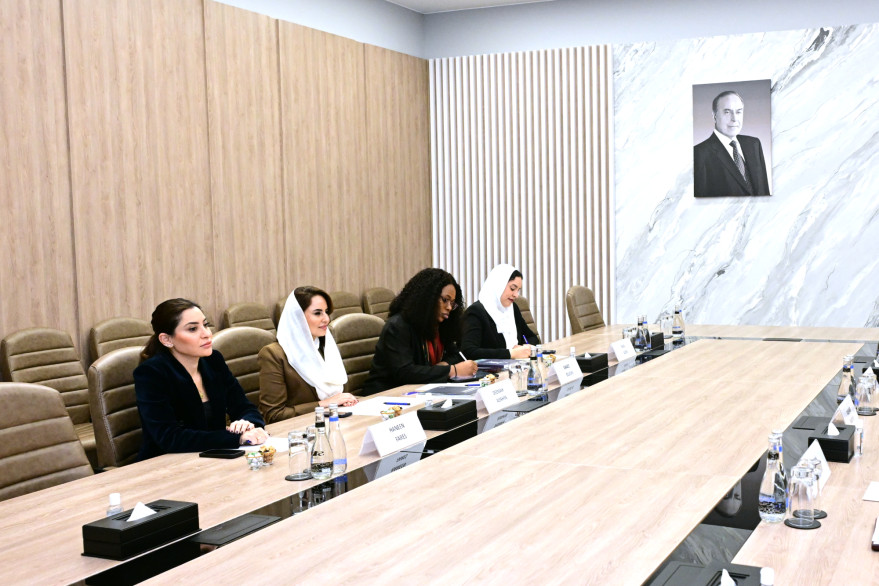 Nazir Rəşad Nəbiyev Rəqəmsal Əməkdaşlıq Təşkilatının baş katibi ilə görüş keçirib