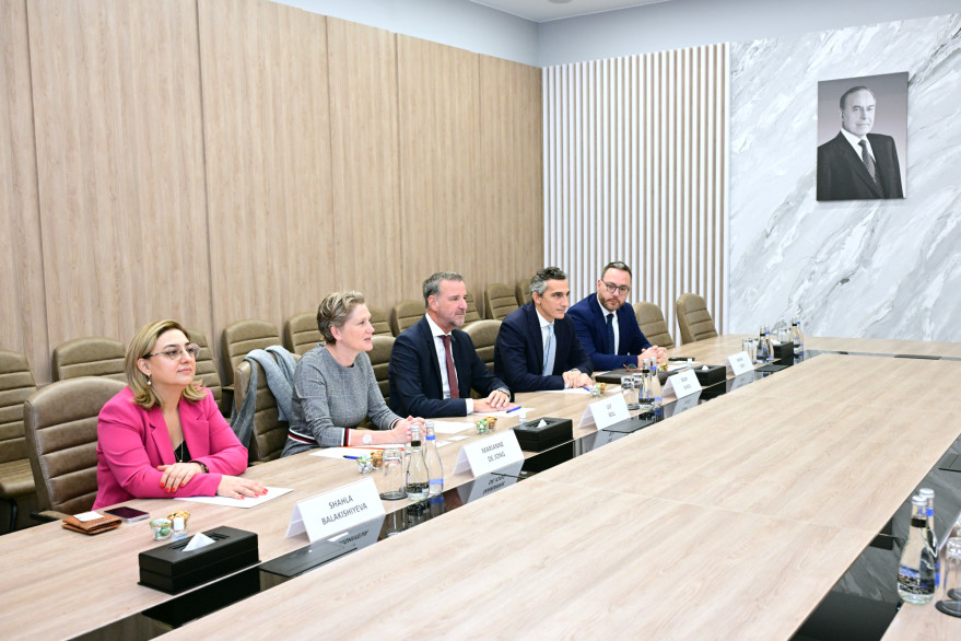 Nazir Rəşad Nəbiyev Niderlandın “C. Steinweg Group” şirkətinin baş icraçı direktoru ilə görüşüb