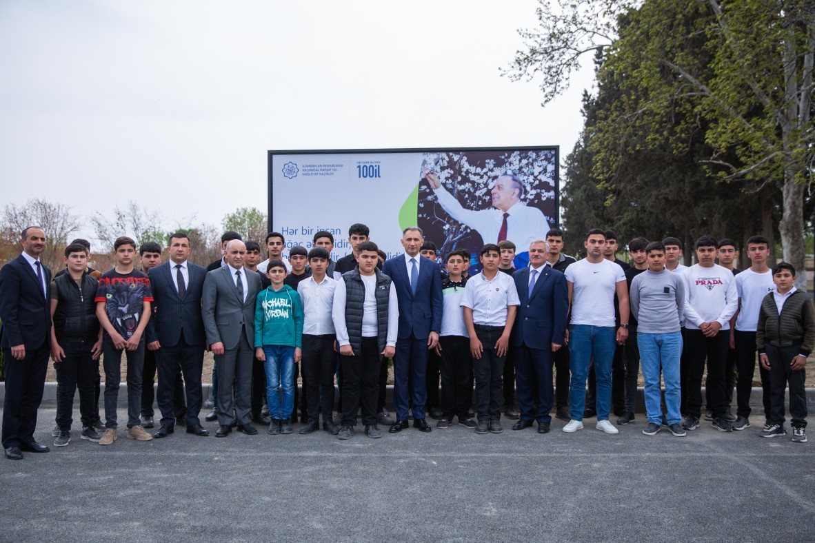 Министерство цифрового развития и транспорта провело акцию по посадке деревьев в рамках «Года Гейдара Алиева»
