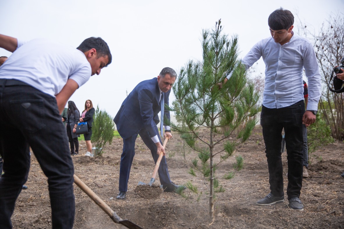 Ministry of Digital Development and Transport holds tree-planting action as part of “Year of Heydar Aliyev”
