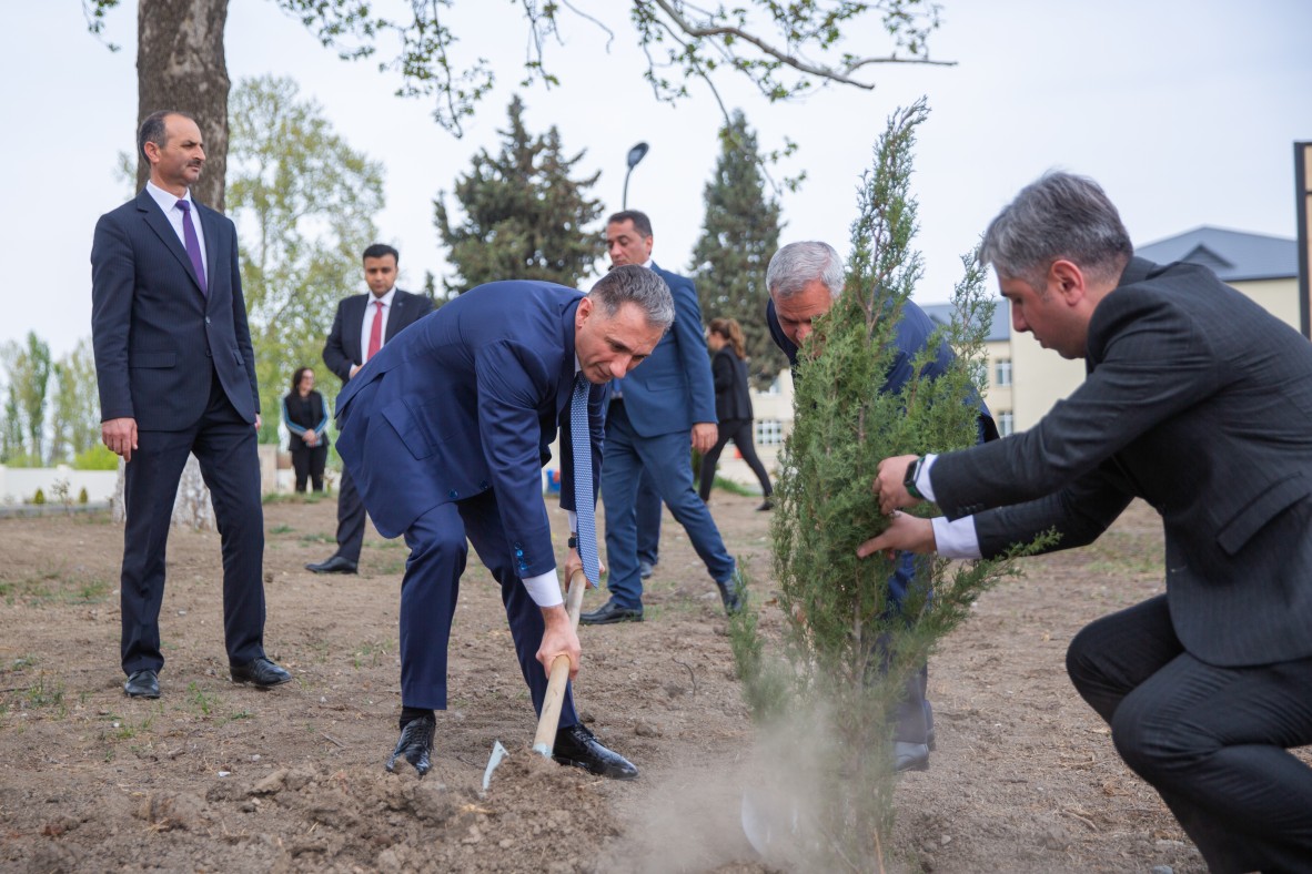 Министерство цифрового развития и транспорта провело акцию по посадке деревьев в рамках «Года Гейдара Алиева»