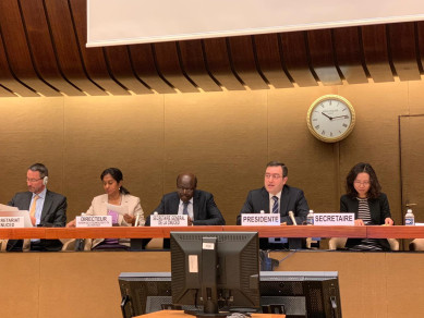 Session of intergovernmental expert group on e-commerce and digital economy held in United Nations chaired by Azerbaijan