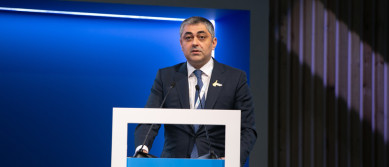 Ramin Guluzade delivers speech at ITU's Plenipotentiary Conference 