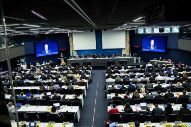 Azerbaijani delegation taking part in ITU Council meeting 