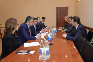Minister receives delegation of Microsoft Corporation