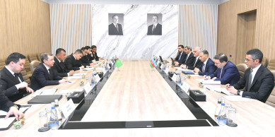 Minister Rashad Nabiyev Meets with Turkmen Delegation