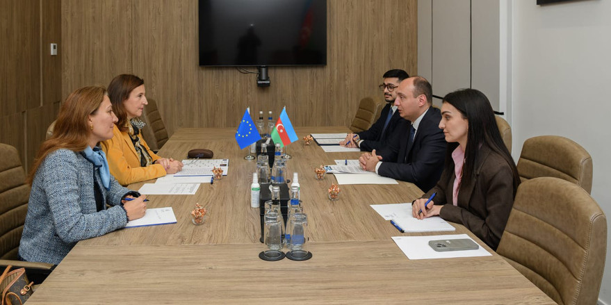Meeting Held at the Ministry of Digital Development and Transport with the EU Delegation