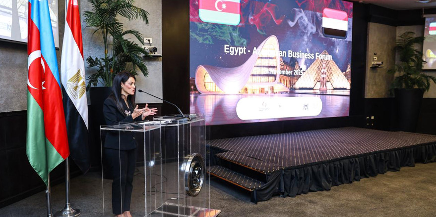 Azerbaijani and Egyptian Companies Participate in Business Forum in Cairo