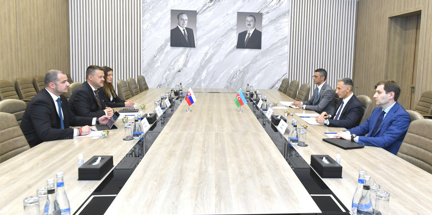 Nazir Rəşad Nəbiyev Slovakiyanın investisiyalar, regional inkişaf və informasiya naziri ilə görüşüb