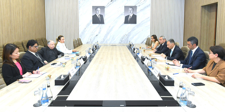Nazir Rəşad Nəbiyev BMT Baş katibinin yol hərəkəti təhlükəsizliyi üzrə xüsusi elçisi ilə görüşüb
