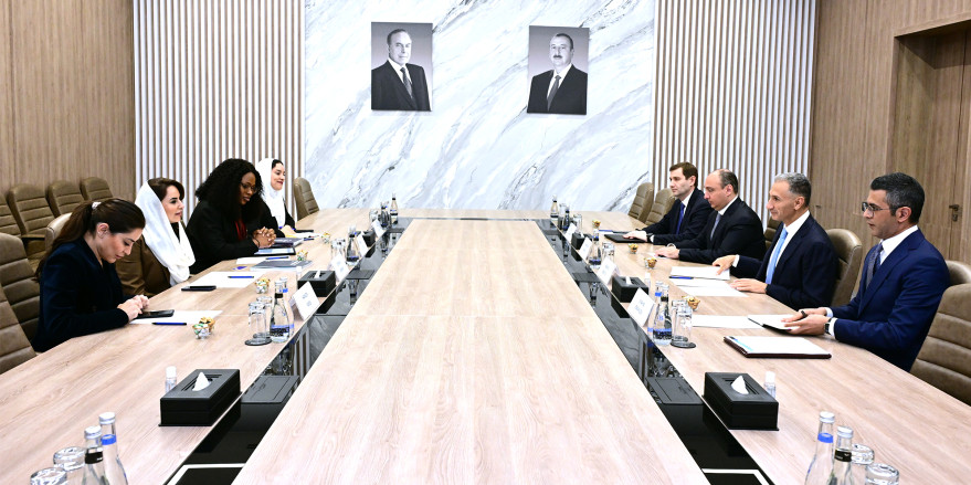 Nazir Rəşad Nəbiyev Rəqəmsal Əməkdaşlıq Təşkilatının baş katibi ilə görüş keçirib