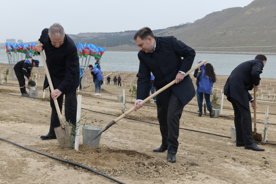 Participation of ministry’s employees in tree planting campaign Green Marathon 2022