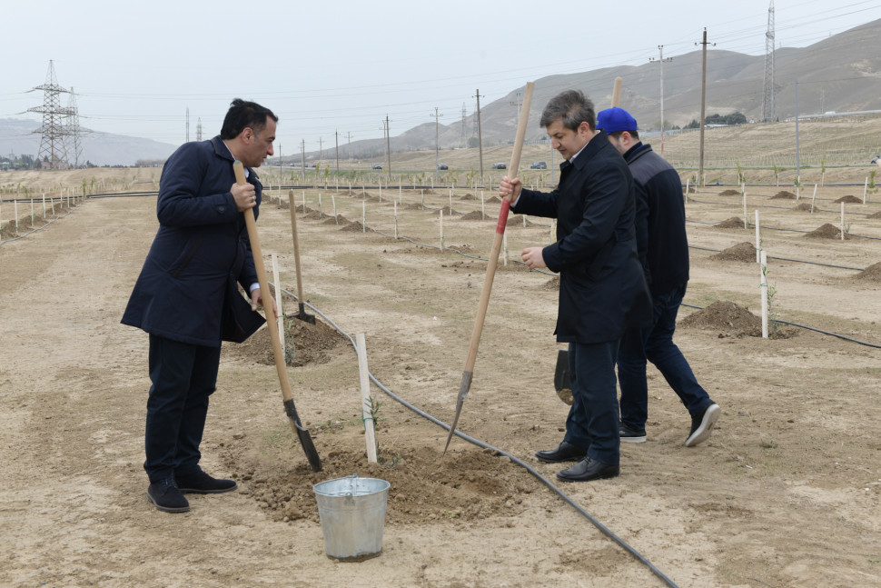 Participation of ministry’s employees in tree planting campaign Green Marathon 2022