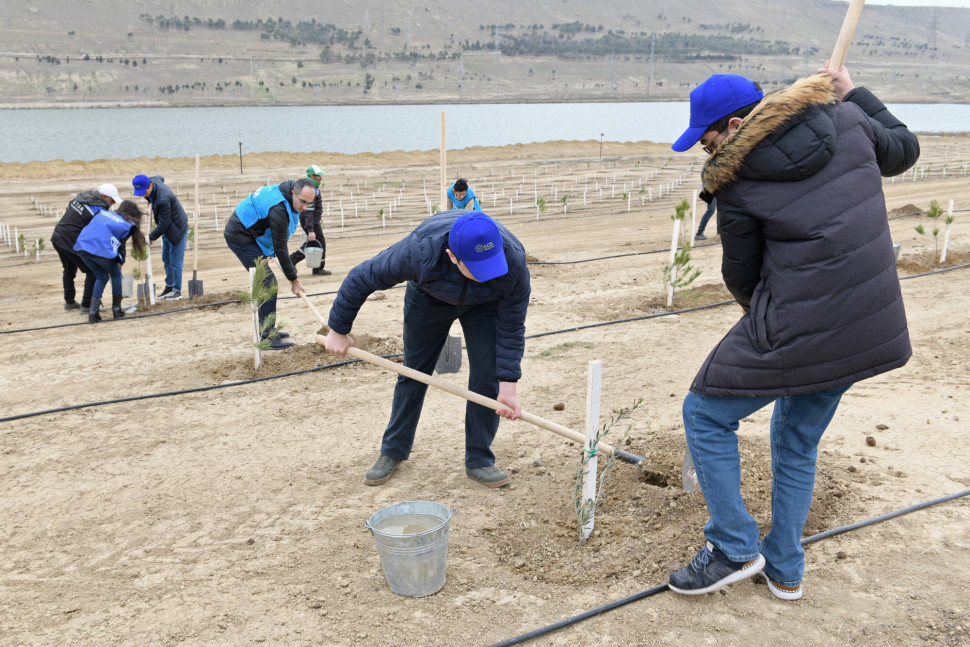 Participation of ministry’s employees in tree planting campaign Green Marathon 2022