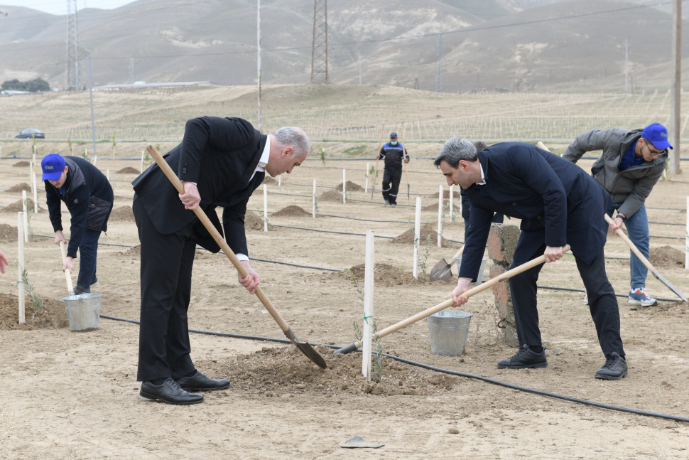 Nazirliyin əməkdaşlarının “Yaşıl Marafon 2022” ağacəkmə kampaniyasında iştirakı