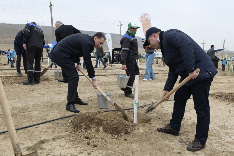 Participation of ministry’s employees in tree planting campaign Green Marathon 2022