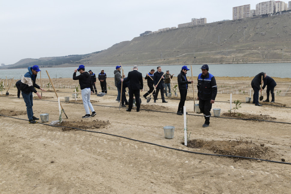 Participation of ministry’s employees in tree planting campaign Green Marathon 2022