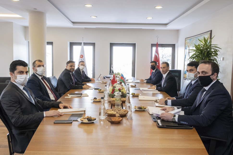 Visit of Minister Rashad Nabiyev to Turkey